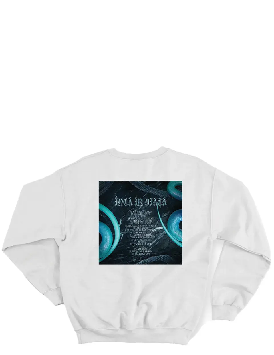 bLUZA TRACKLIST_SPATE_ALB.jpg